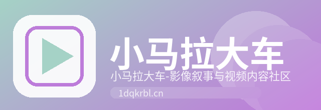 小马拉大车